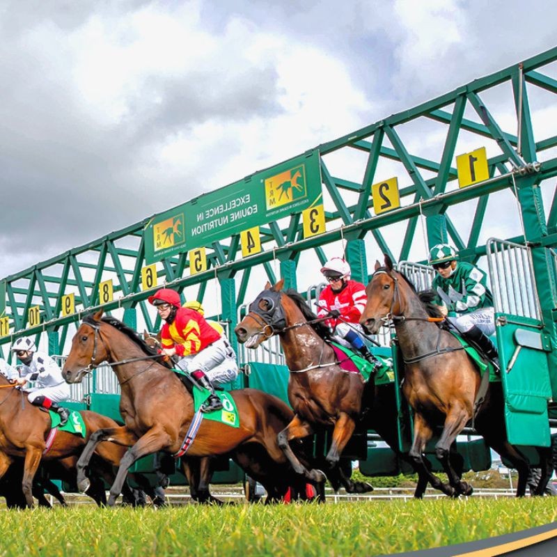 Starting Gates